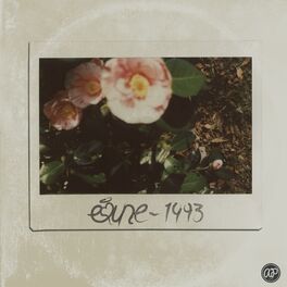 Album cover of 1993