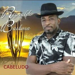 Album cover of Cabeludo