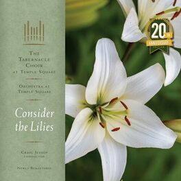 Album cover of Consider the Lilies (20th Anniversary Remastered Edition)
