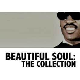 Album cover of Beautiful Soul: The Collection