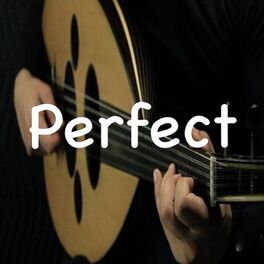 Album cover of Perfect