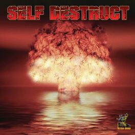 Album cover of Self Destruct