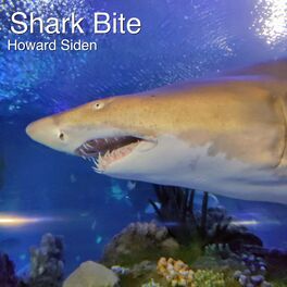 Album cover of Shark Bite