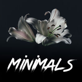 Album cover of Minimals