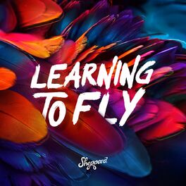 Album cover of Learning To Fly