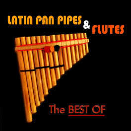 Album cover of Latin Pan Pipes & Flutes