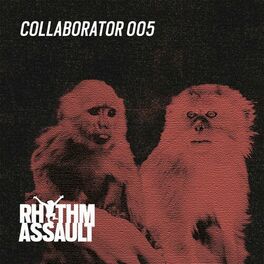 Album cover of Collaborator 005