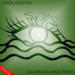 Album cover of Sounds In A Magic Forest (Version 2)