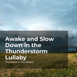 Album cover of Awake and Slow Down in the Thunderstorm Lullaby