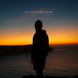 Album cover of Need More Time