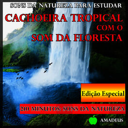 Album cover of Sons da Natureza para Estudar: Cachoeira Tropical Com o Som da Floresta: Edição Especial