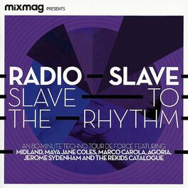 Album cover of Mixmag Presents Radio Slave: Slave to the Rhythm