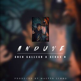 Album cover of Anduve