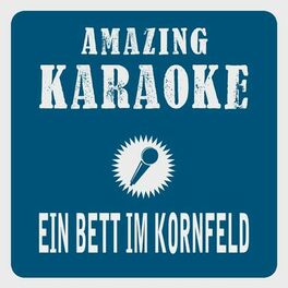 Album cover of Ein Bett im Kornfeld (Karaoke Version)
