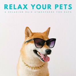 Album cover of Relax Your Pets: A Relaxing Rain Atmosphere For Naps