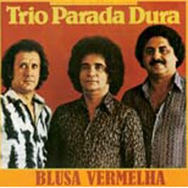 Album cover of Blusa Vermelha