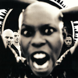 Album cover of Stoosh