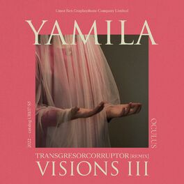 Album cover of Visions VIII