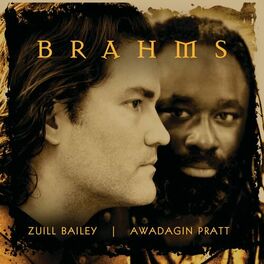 Album cover of Brahms Works for Cello and Piano