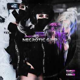 Album cover of Necrotic Grip