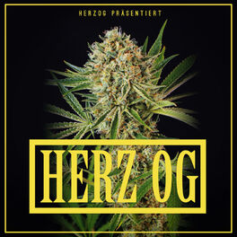 Album cover of Herz OG