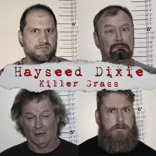 Hayseed Dixie Killer Grass lyrics and songs Deezer