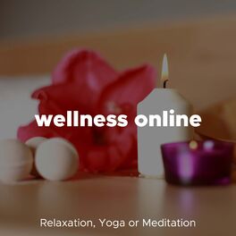 Album cover of Wellness Online - Relaxing Music for Relaxation, Yoga or Meditation