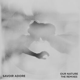 Album cover of Our Nature: The Remixes