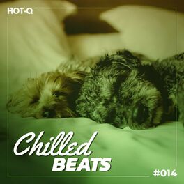 Album cover of Chilled Beats 014