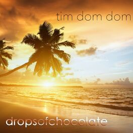 Album cover of Tim Dom Dom