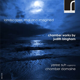 Album cover of Landscapes, Real and Imagined: Chamber Works by Judith Bingham