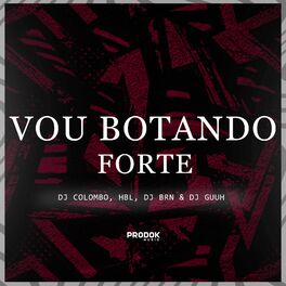 Album cover of Vou Botando Forte