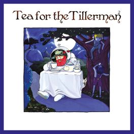 Album cover of Tea For The Tillerman²