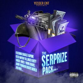 Album cover of The SERprize Pack, Vol. 4