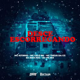 Album cover of Desce Escorregando
