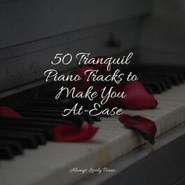 Album cover of 50 Tranquil Piano Tracks to Make You At-Ease
