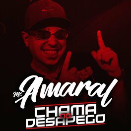 Album cover of Chama No Desapego