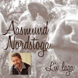 Album cover of Liv laga