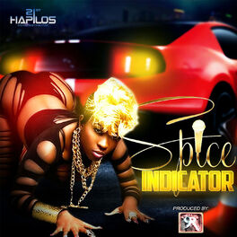 Album cover of Indicator