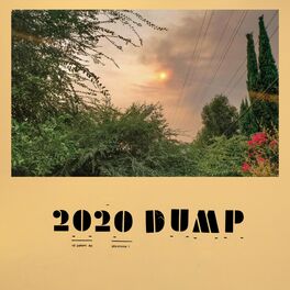 Album cover of 2020 DUMP