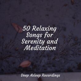 Album cover of 50 Relaxing Songs for Serenity and Meditation