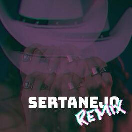 Album cover of Sertanejo Remix