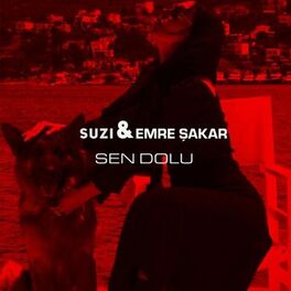 Album cover of Sen Dolu