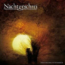 Album cover of Hoffnungsschimmer