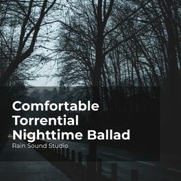 Album cover of Comfortable Torrential Nighttime Ballad