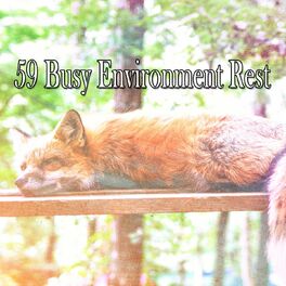 Album cover of 59 Busy Environment Rest