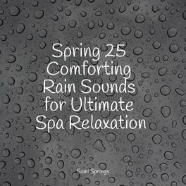 Album cover of Spring 25 Comforting Rain Sounds for Ultimate Spa Relaxation