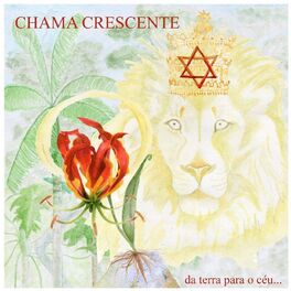 Album cover of Da Terra para o Céu...