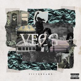 Album cover of V. E. C. G.