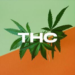 Album cover of THC: The Hits Collection
